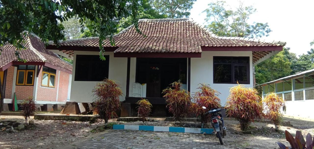 Sukamade Adventure Tour Package Bed & Breakfast Banyuwangi  Exterior foto